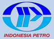 IUT logo